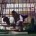 puppy mill french bulldog in cage