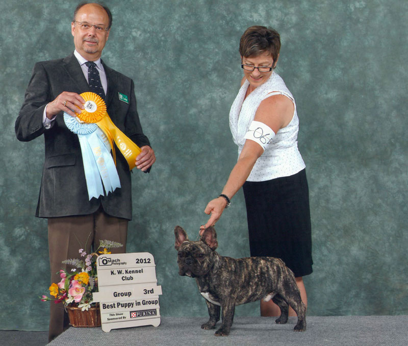 Finn wins group 3rd his first weekend in the ring