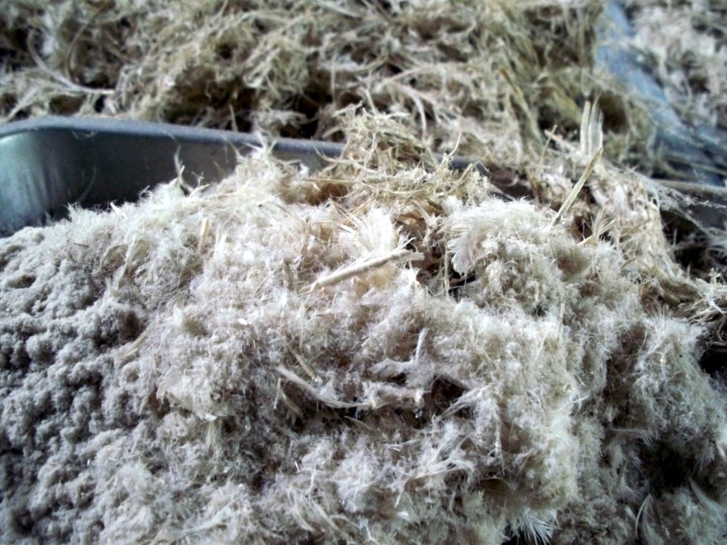 Feathers being processed into feather meal for the pet food industry