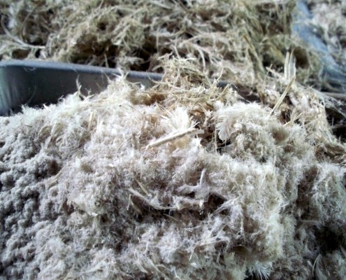 Feathers being processed into feather meal for the pet food industry