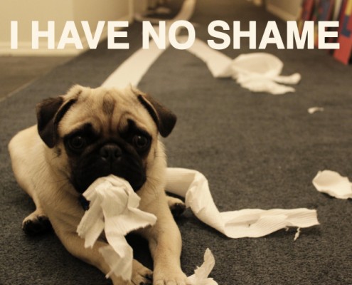 Pug Eats paper
