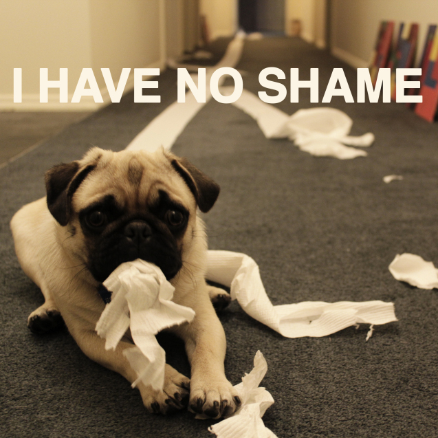 Pug Eats paper
