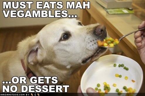 dog eating leftover vegetables