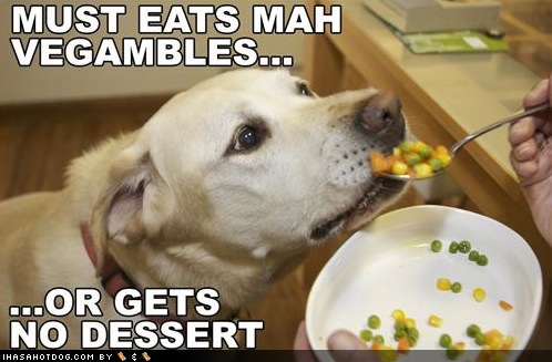 dog eating leftover vegetables