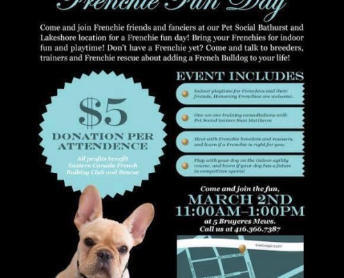 French Bulldog Fun Day at Pet Social in Toronto, Sunday March 2 11:00 am to 1:00 pm.