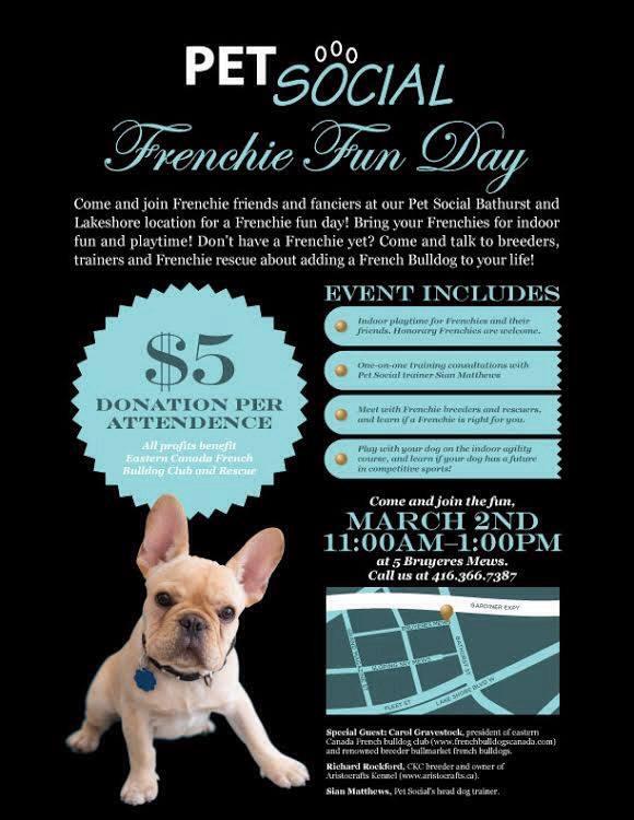 French Bulldog Fun Day at Pet Social in Toronto, Sunday March 2 11:00 am to 1:00 pm.