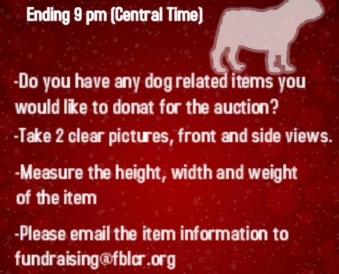 FBLCR Auction Donations Needed