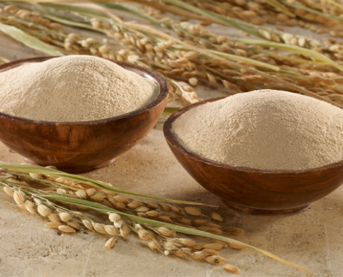 Is rice bran a risk to pet health?